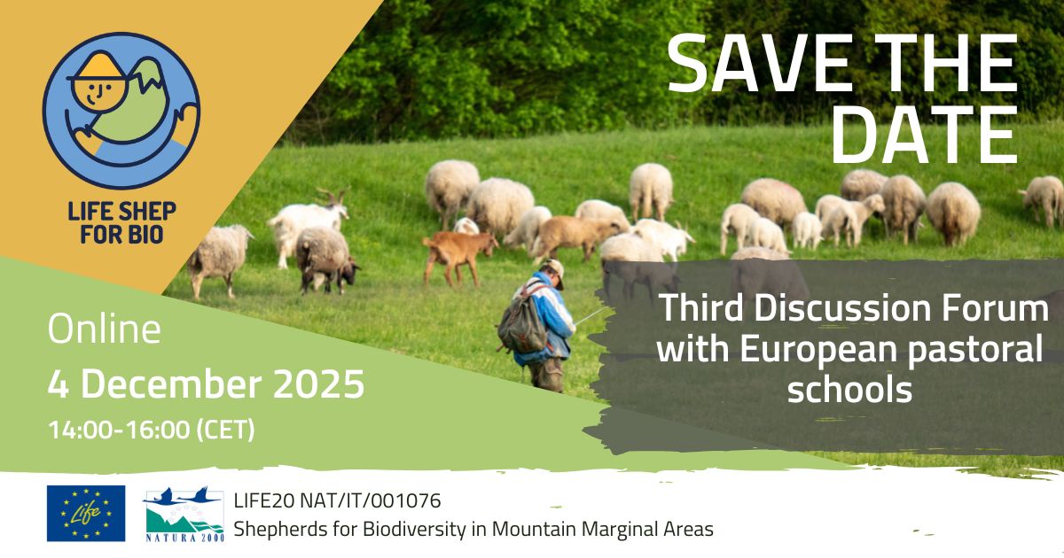 Terzo Forum Scuole pastorali: 4 Dicembre 2025