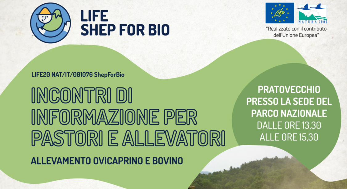 𝗜𝗻𝗰𝗼𝗻𝘁𝗿𝗶 𝗶𝗻𝗳𝗼𝗿𝗺𝗮𝘁𝗶𝘃𝗶 𝗽𝗲𝗿 𝗽𝗮𝘀𝘁𝗼𝗿𝗶 𝗲 𝗮𝗹𝗹𝗲𝘃𝗮𝘁𝗼𝗿𝗶
