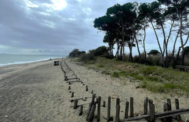 LIFE terrAmare a Regions4Climate: resilienza costiera in Toscana