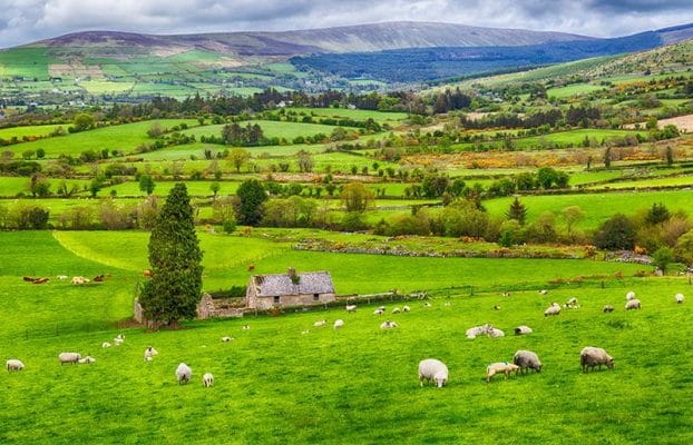 Newsletter EU4SUPA – Numero 2: Insieme per il futuro del pastoralismo sostenibile in Europa